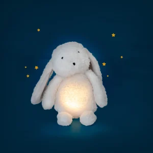Lapin Lumineux