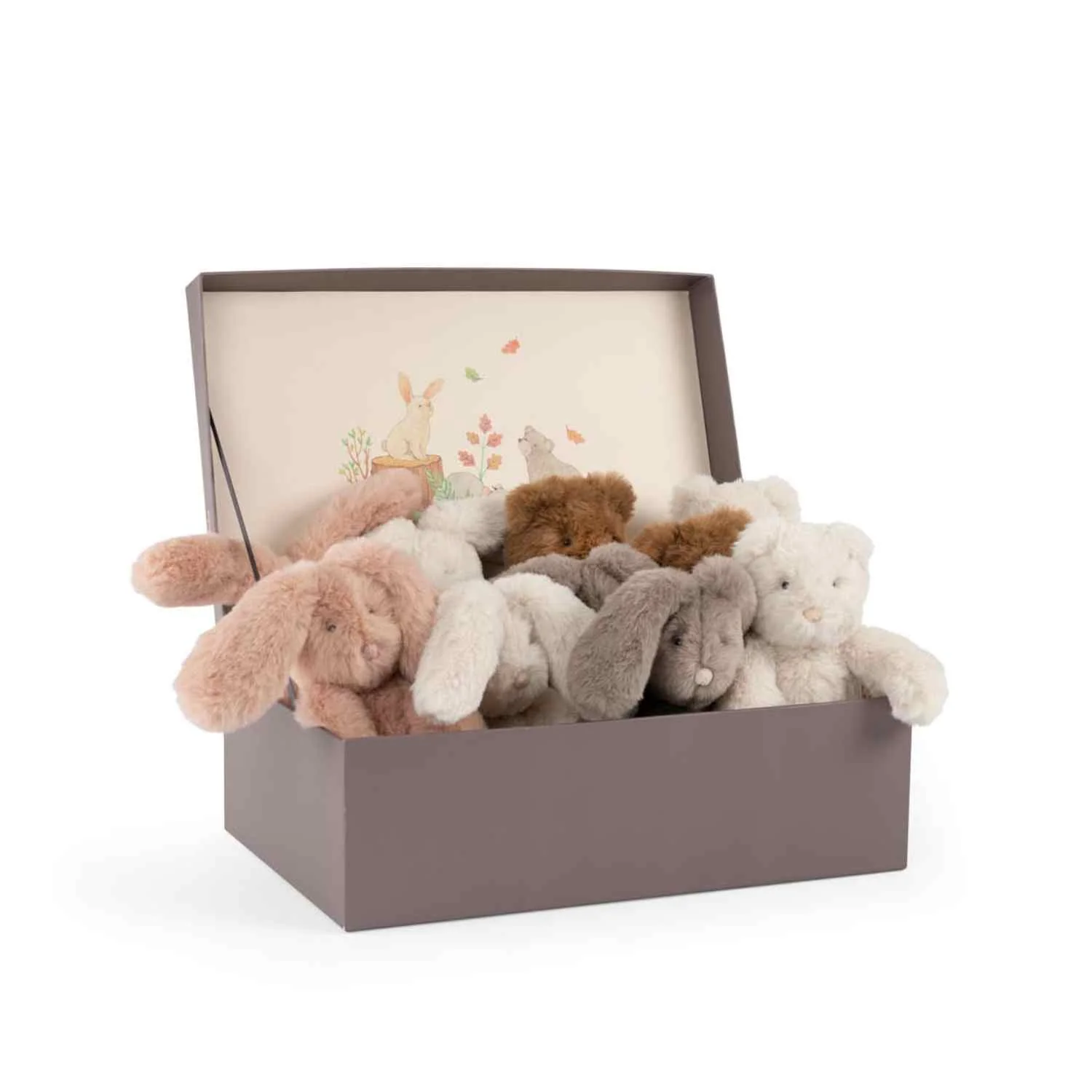 Peluche Urso Creme - Image 4